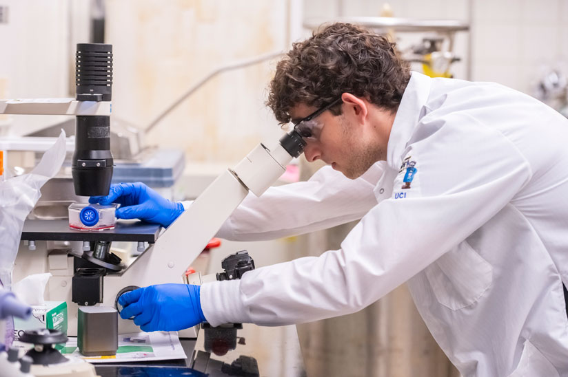 Pharmacy & Pharmaceutical Sciences
