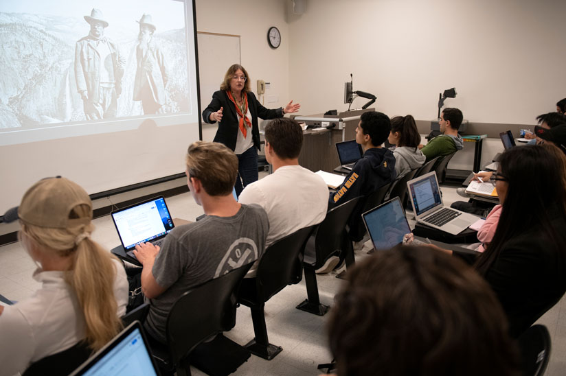 Social Sciences