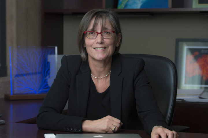 Efi Foufoula-Georgiou, Distinguished Professor of civil and environmental engineering and Samueli Endowed Chair in engineering at UC Irvine