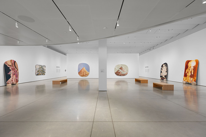 UC Irvine Langson Orange County Museum of Art - Costa Mesa