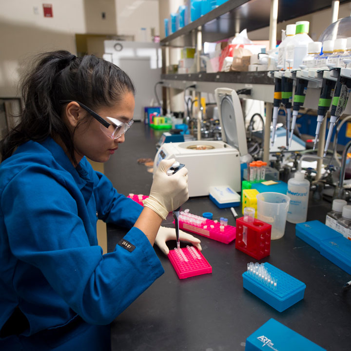 School of Pharmacy and Pharmaceutical Sciences