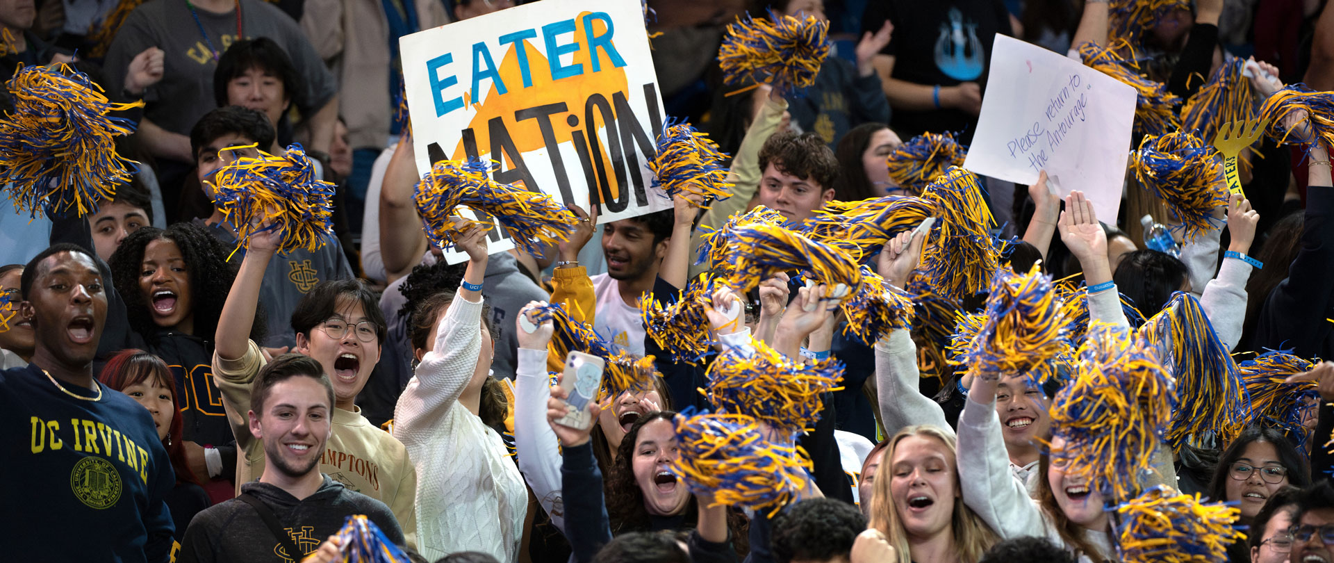 Anteaters cheering on basketball game