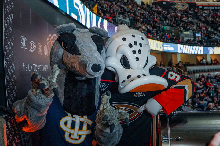 UC Irvine Spirit Night with the Anaheim Ducks