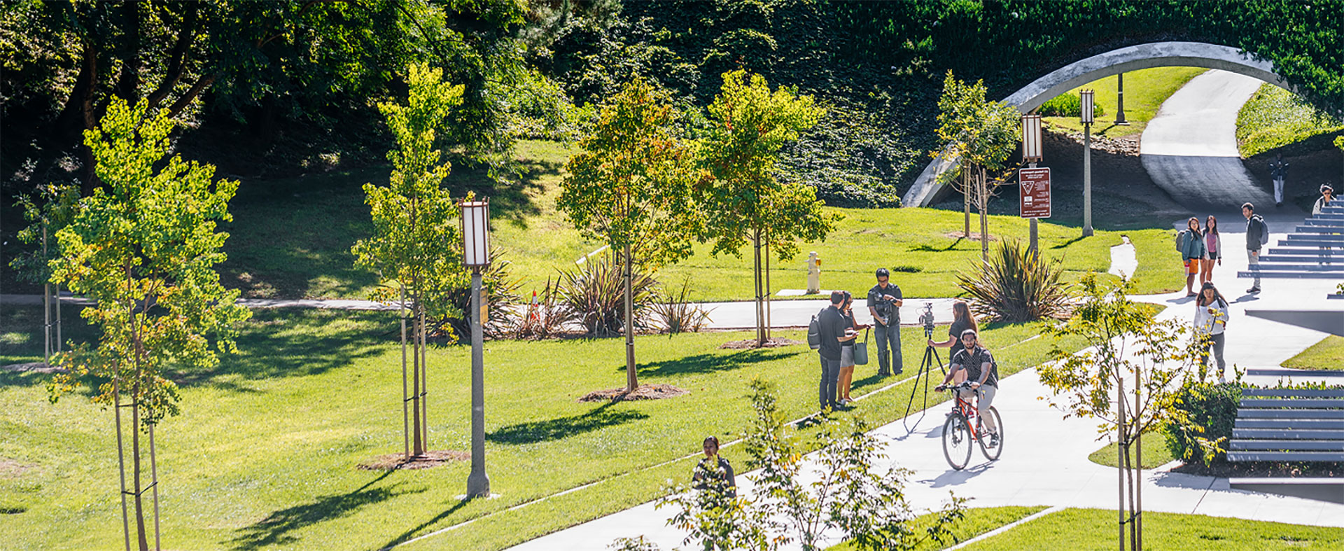 A view of a sidewalk with a large group of people and small trees.
