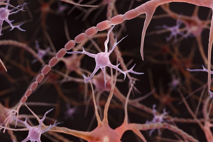 computer illustration of microglia